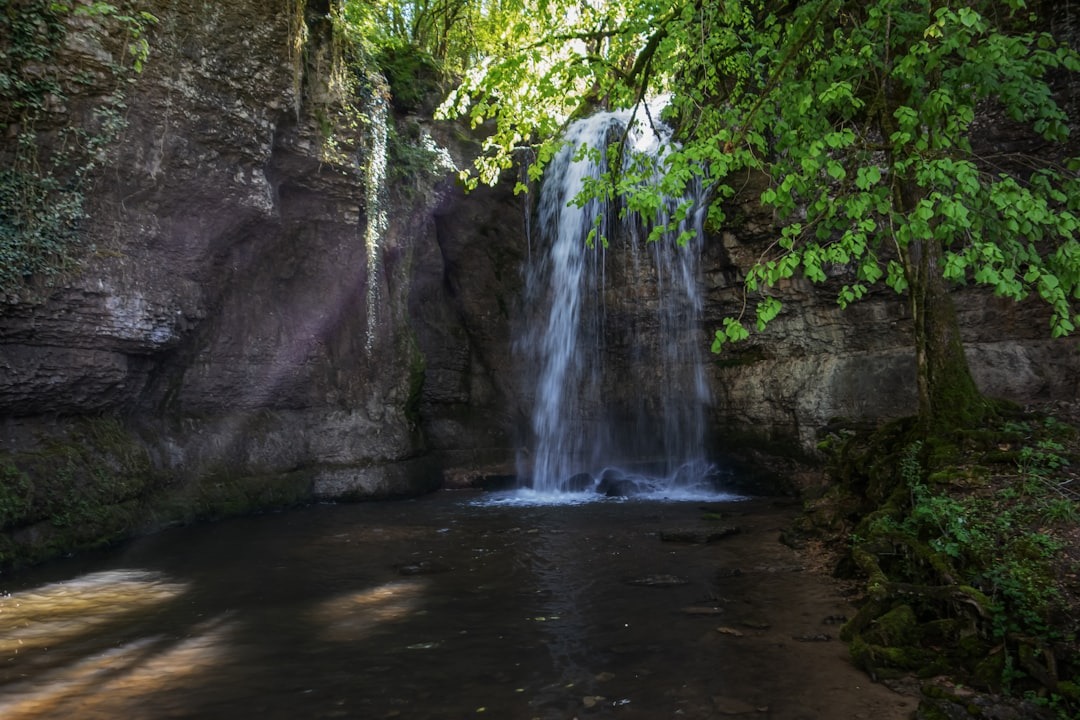 Qu’est-ce que l’hygiénisme et pourquoi est-il essentiel ?